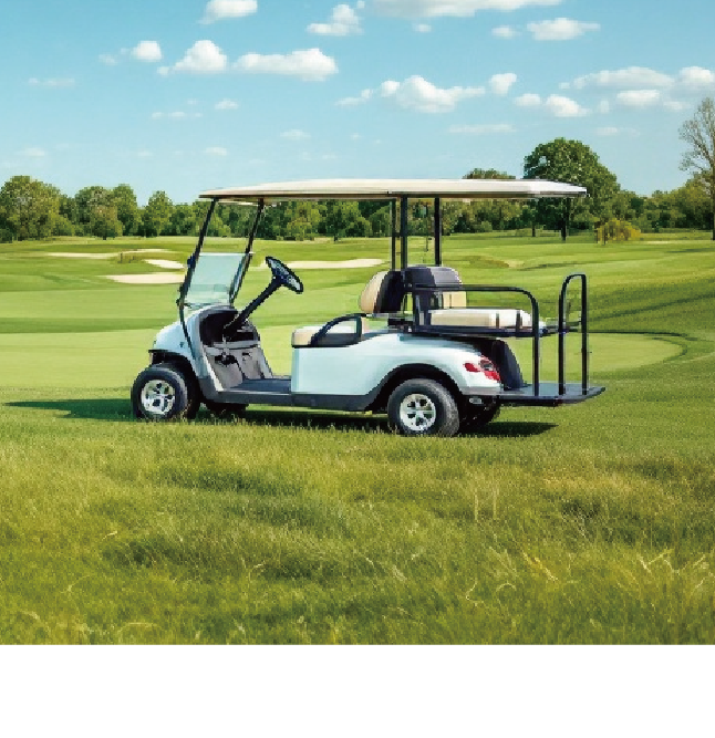 Golf Cart Lithium Battery Solutions