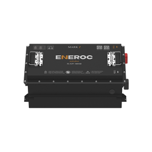 48V Golf Cart LiFePO4 Battery